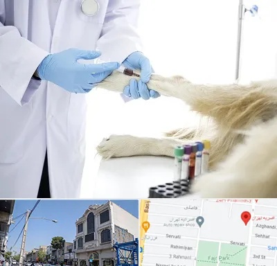 آزمایشگاه حیوانات در افسریه 