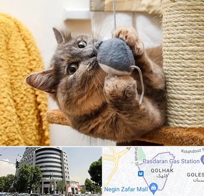 خرید اسباب بازی گربه در قلهک 