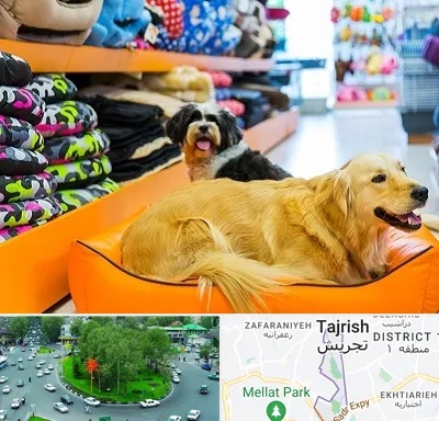 پت شاپ عمده در تجریش 