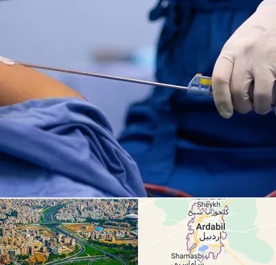 پیکر تراشی در اردبیل