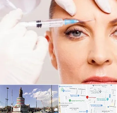 مزوژل در کارگر جنوبی 