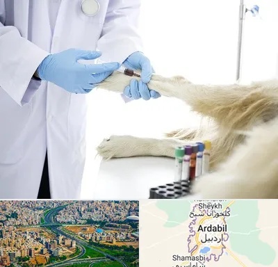 آزمایشگاه حیوانات در اردبیل