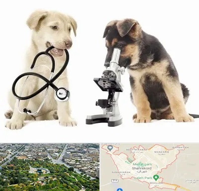 آزمایشگاه دامپزشکی در شهرکرد