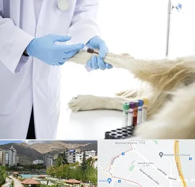آزمایشگاه حیوانات در شهر زیبا 