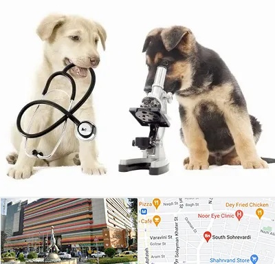 آزمایشگاه دامپزشکی در سهروردی 