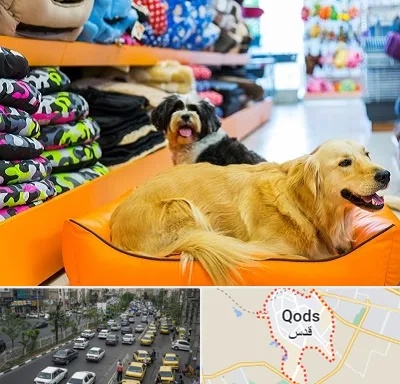 پت شاپ عمده در شهر قدس