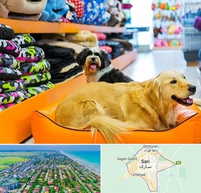 پت شاپ عمده در ساری
