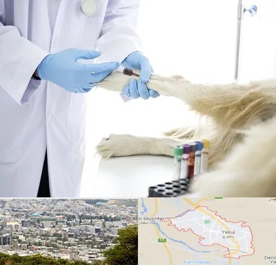 آزمایشگاه حیوانات در یاسوج