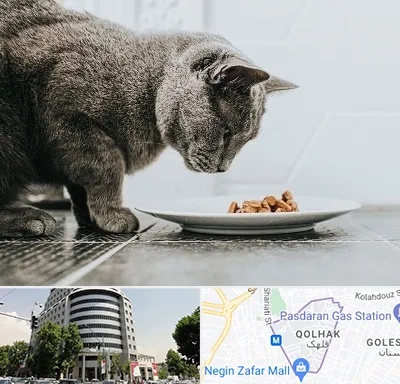خرید غذای گربه در قلهک 