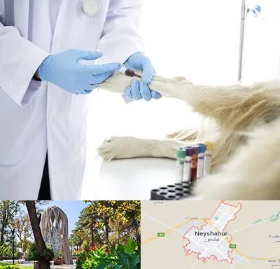 آزمایشگاه حیوانات در نیشابور