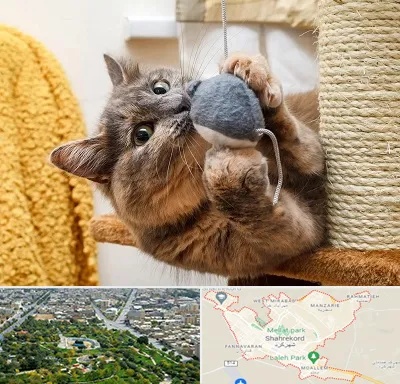 خرید اسباب بازی گربه در شهرکرد
