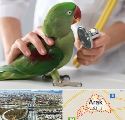 درمانگاه شبانه روزی پرندگان در اراک
