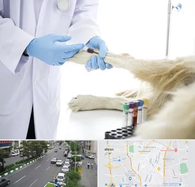 آزمایشگاه حیوانات در ستارخان 