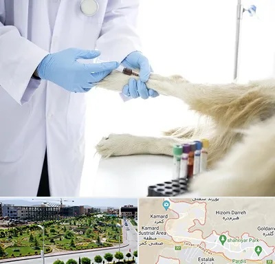 آزمایشگاه حیوانات در پردیس