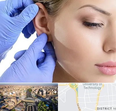 اتوپلاستی در استاد معین 