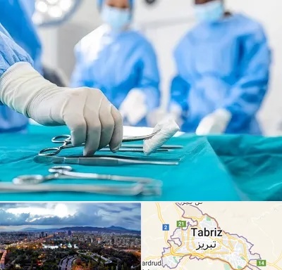 مونس پلاستی در تبریز