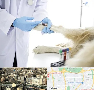 آزمایشگاه حیوانات در مرزداران 