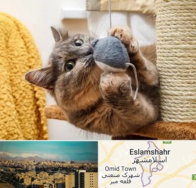 خرید اسباب بازی گربه در اسلامشهر
