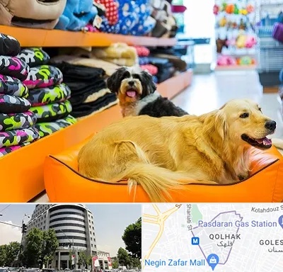 پت شاپ عمده در قلهک 