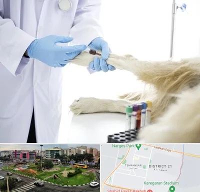 آزمایشگاه حیوانات در تهرانسر 
