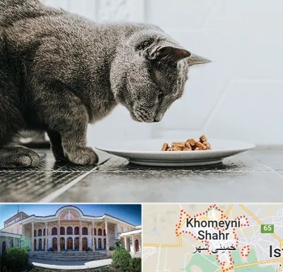 خرید غذای گربه در خمینی شهر