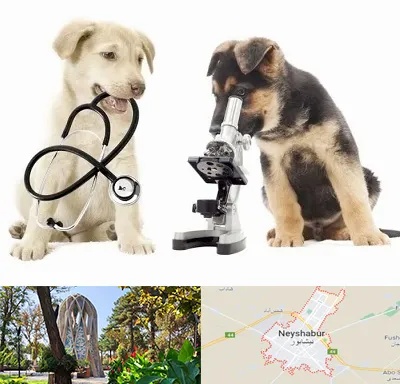 آزمایشگاه دامپزشکی در نیشابور