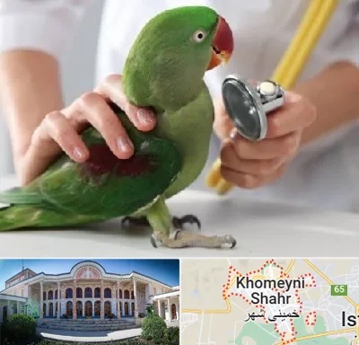 درمانگاه شبانه روزی پرندگان در خمینی شهر