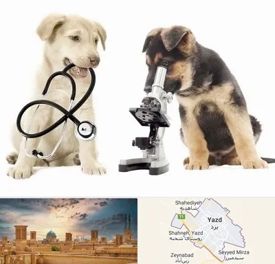 آزمایشگاه دامپزشکی در یزد