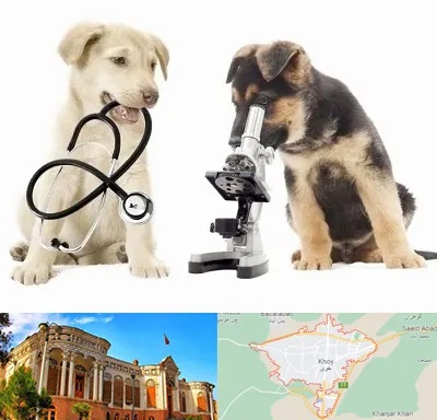 آزمایشگاه دامپزشکی در خوی