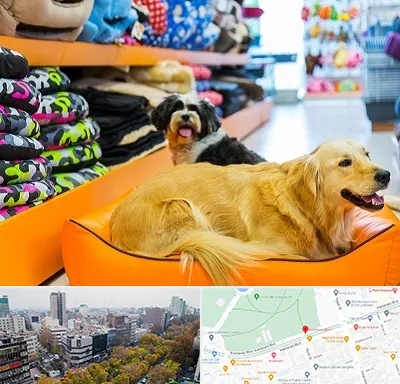 پت شاپ عمده در بلوار کشاورز 