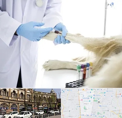 آزمایشگاه حیوانات در منطقه 11 تهران 