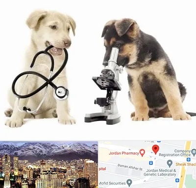 آزمایشگاه دامپزشکی در جردن 