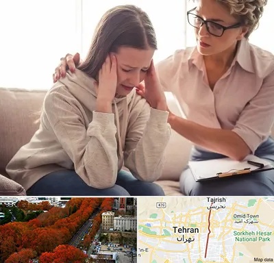 روان درمانگر در ولیعصر 