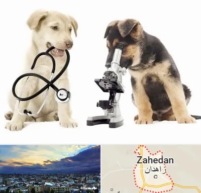 آزمایشگاه دامپزشکی در زاهدان