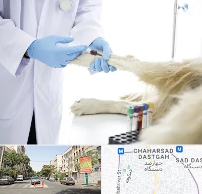 آزمایشگاه حیوانات در چهارصد دستگاه 