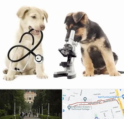 آزمایشگاه دامپزشکی در بلوار معلم رشت 