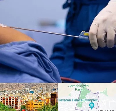 پیکر تراشی در نیاوران 