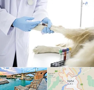 آزمایشگاه حیوانات در دزفول