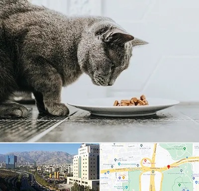 خرید غذای گربه در حقانی 