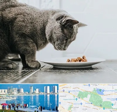 خرید غذای گربه در چیتگر 