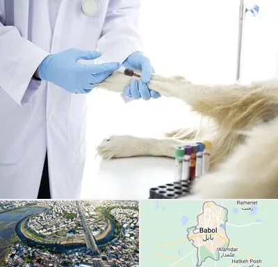 آزمایشگاه حیوانات در بابل