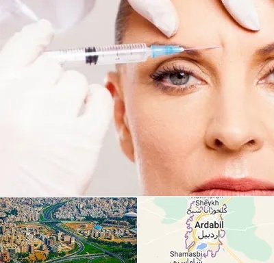 مزوژل در اردبیل