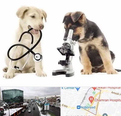 آزمایشگاه دامپزشکی در اقدسیه 