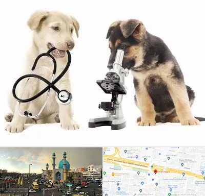 آزمایشگاه دامپزشکی در رسالت 