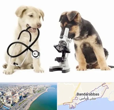 آزمایشگاه دامپزشکی در بندرعباس