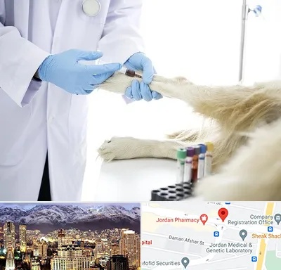 آزمایشگاه حیوانات در جردن 