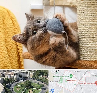 خرید اسباب بازی گربه در جهانشهر کرج 