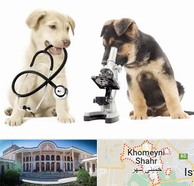 آزمایشگاه دامپزشکی در خمینی شهر