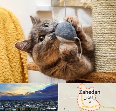 خرید اسباب بازی گربه در زاهدان