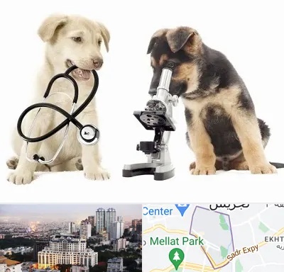 آزمایشگاه دامپزشکی در الهیه 